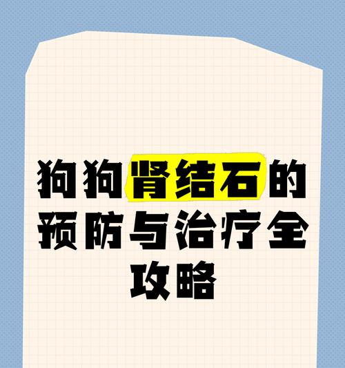 狗狗结石的治疗方法和药物选择（了解狗狗结石的发病原因，合理用药是关键）