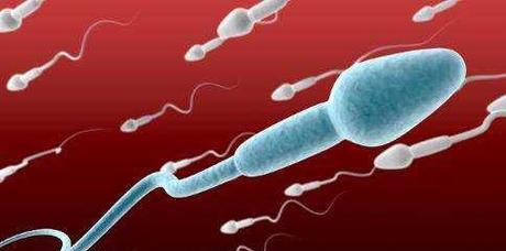 男子节育手术的恢复期及注意事项（男子节育手术恢复时间、禁忌症和注意事项）