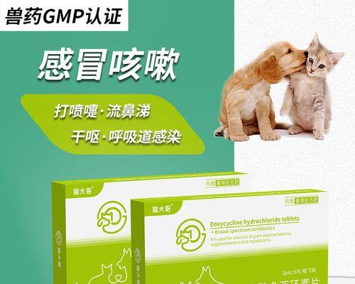 小狗感冒咳嗽药物应该如何选择（有效缓解小狗感冒咳嗽的药物选择及使用注意事项）