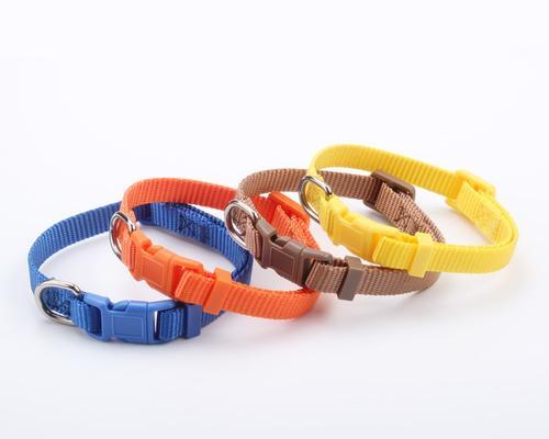 狗生产前的准备工作（为你的爱犬做好充分的准备）