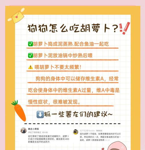 给狗狗吃胡萝卜的三种方法（让狗狗更喜欢吃胡萝卜的小窍门）