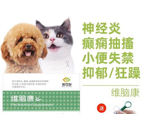 狗狗长期抽搐的疾病及治疗方法剖析（探究狗狗长期抽搐的原因及如何有效治疗）