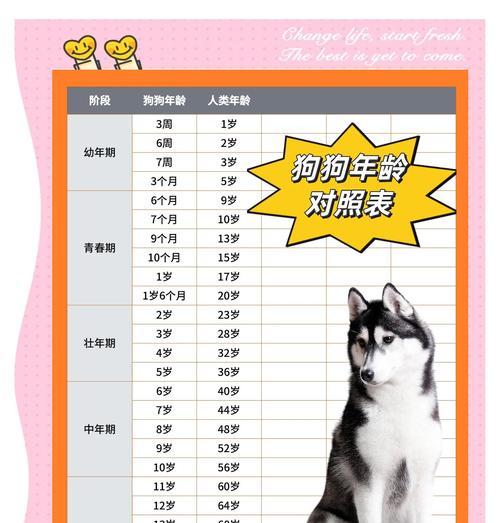 狗狗的运动量应根据其阶段适度调整（不同阶段的狗狗需要不同的运动量和活动方式）