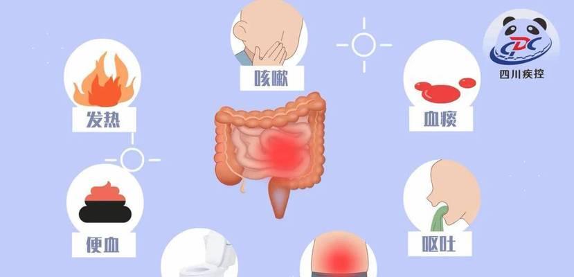 寄生虫感染的传播途径与预防措施（了解寄生虫感染的途径，保护自己和他人健康）