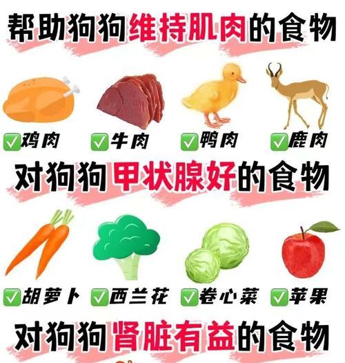 狗狗饮食禁忌（狗狗不能吃的食物及其危害，）