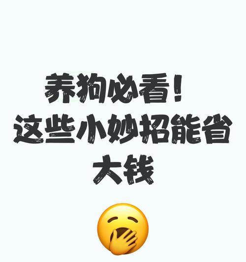 如何用最少的钱养狗！（手把手教你养狗的最便宜方法）