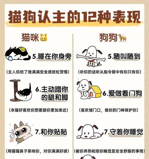 狗狗是怎样认出自己的主人的？（狗狗把你当主人的明显表现和迹象）