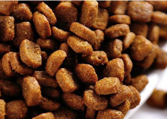 夏日狗粮推荐——宠物犬夏季饮食的关键（宠物犬夏季合适的狗粮品牌推荐）