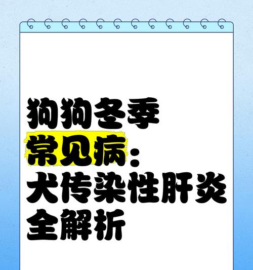 宠物狗的烈性传染病（了解狗狗常见的传染病，保护你的毛茸伙伴）
