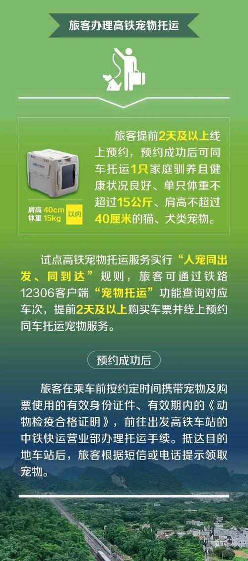 动车上可以带哪些宠物？（了解动车旅行规定，带上合适的宠物与你共享旅途）