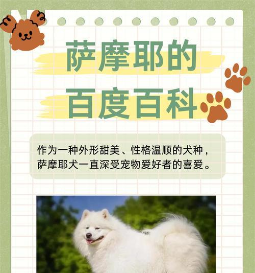 萨摩耶饲养指南（打造健康快乐的萨摩耶生活）