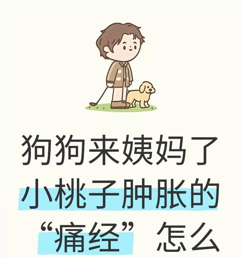 狗狗姨妈后多久排卵？（了解狗狗排卵周期，细心呵护你的宠物）