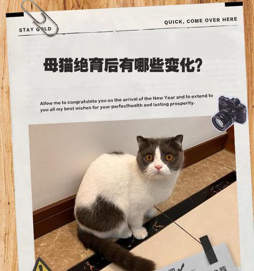 母猫绝育激素消退时间与影响（探究母猫绝育激素消退的时间以及对身体和行为的影响）