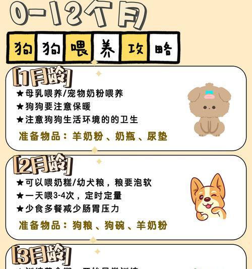 给狗狗喂食杏仁的注意事项（了解如何正确喂食杏仁，确保狗狗的健康）