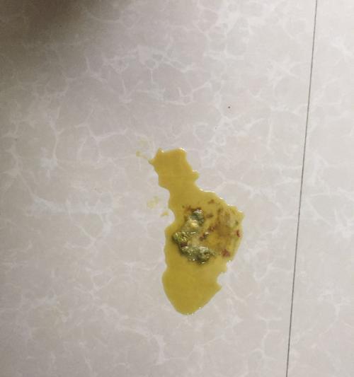 揭秘宠物泰迪的大便之谜（了解泰迪的消化系统，从大便说起）