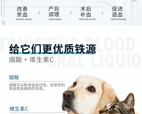 狗营养膏（探索狗营养膏的功效，为您的狗狗带来更好的生活品质）