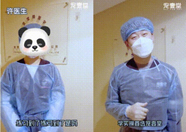 1月26日【重庆】(第125期)丨犬猫外科(高阶)班！含SUB(人人可实操)、乳糜胸等技术！