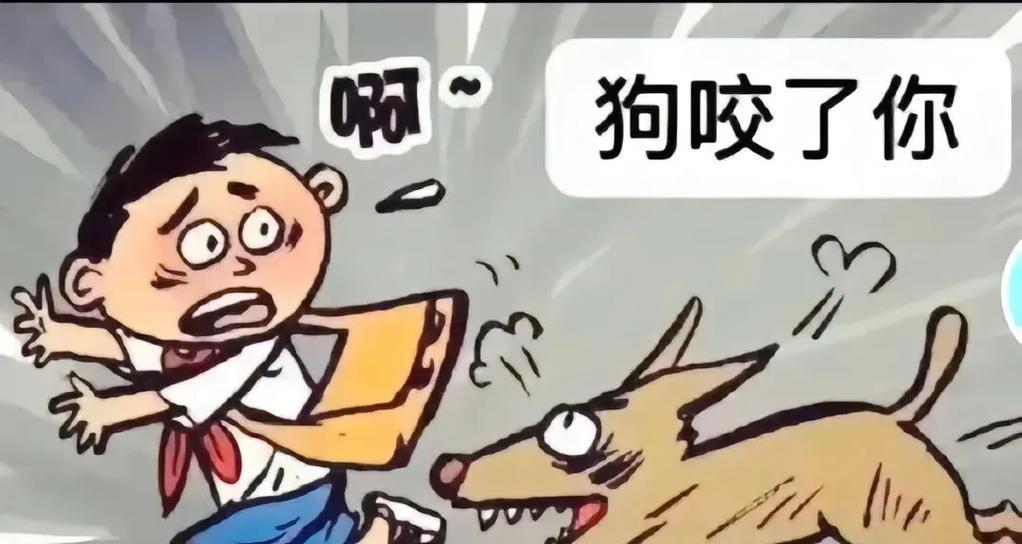 解决狗狗爱咬人问题的有效方法（了解狗狗咬人的原因及相应解决方案）