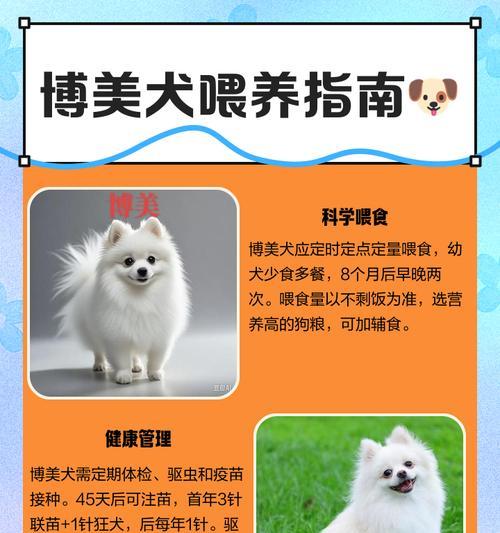 博美犬疫苗接种时间及注意事项（关于博美犬疫苗接种的时间要点，了解宠物健康的必备知识）