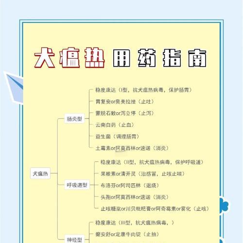 如何自己治疗犬瘟，买哪些药物？（有效应对犬瘟的药物购买指南）