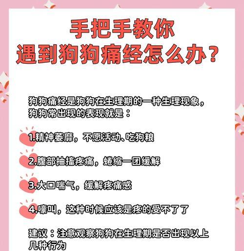 狗狗的生理期和周期（了解狗狗的生理期，为你的爱宠提供适当的照料）