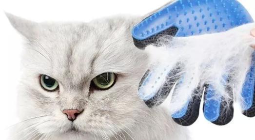 探究猫毛球的成因与处理方法（猫毛球）