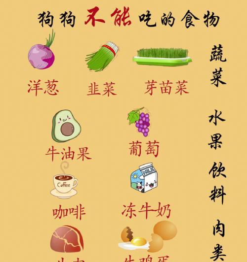 为什么狗狗不能吃盐？（狗狗对盐的摄入有哪些潜在危害）