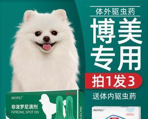 狗出现积水症状怎么办？（解决狗身体积水问题的有效药物及方法）