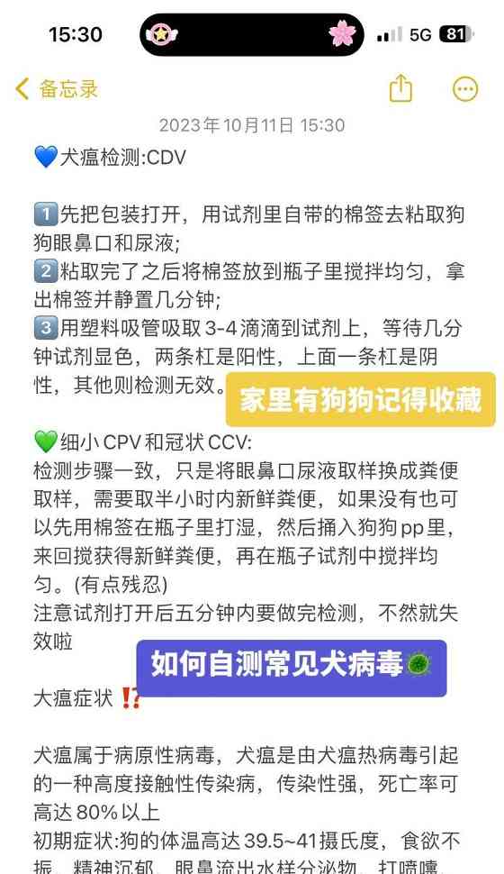犬瘟热细小潜伏期的探究（揭秘犬瘟热细小潜伏期长短的关键因素）