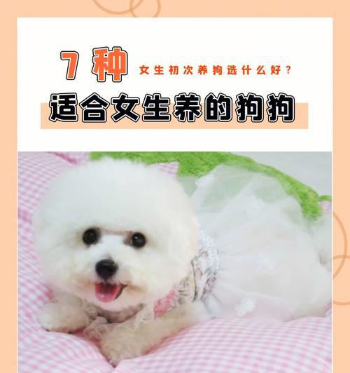 狗狗中毒后的危险期究竟有多久？（中毒后关键时刻怎么过？）