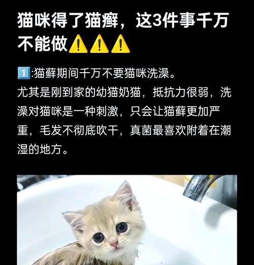猫藓的隔离期（了解猫藓的传染性及隔离期的重要性）