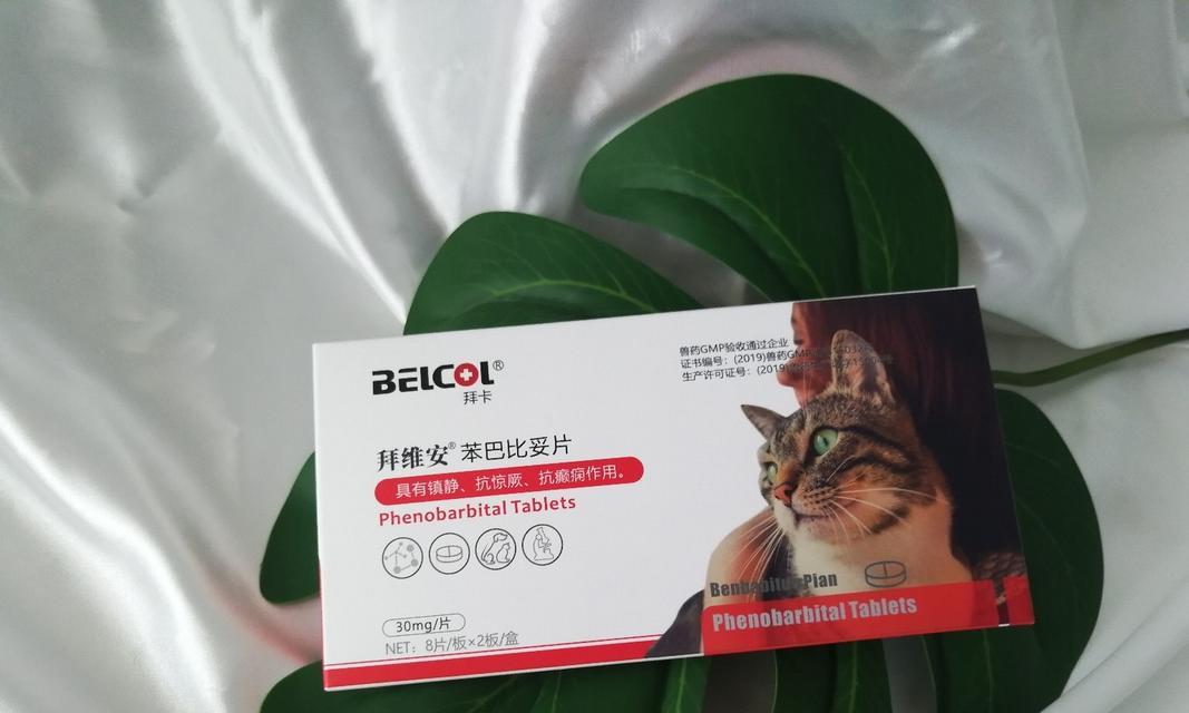 缓解猫嗓子不适的有效药物（舒缓猫嗓子不适的药物及使用方法）