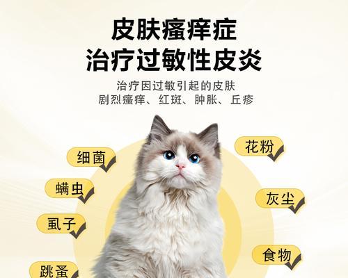 宠物猫的常见疾病及防治措施（保护猫咪健康的关键是及时发现问题并采取正确的治疗措施）