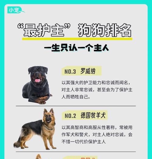 一只宠物狗一生的花销有多少？（分析宠物狗一生所需费用，帮你预估宠物养育成本）