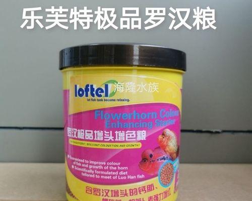 花罗汉饲养全攻略（了解花罗汉的习性和饲养技巧，成为合格的花罗汉养殖者）