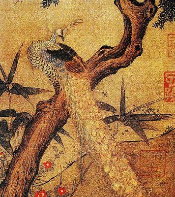 斑尾凤凰的饲养技巧（打造宠物鸟的舒适家园）