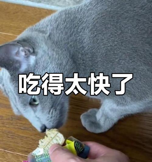 猫咪美味佳肴——自制食物让爱猫更健康（用心为爱猫亲自下厨，让它享受滋味人生）