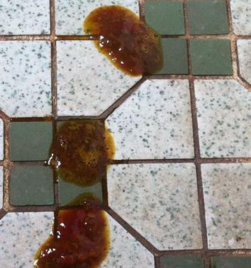 狗狗拉肚子大便带血怎么办？（教你如何应对犬只消化系统问题）