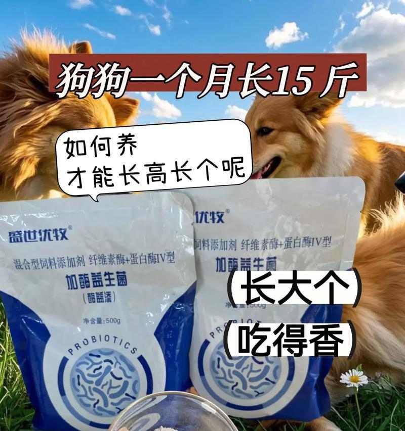 狗狗偏食，潜在的致命危险！（怎样避免狗狗偏食对宠物造成的伤害？）