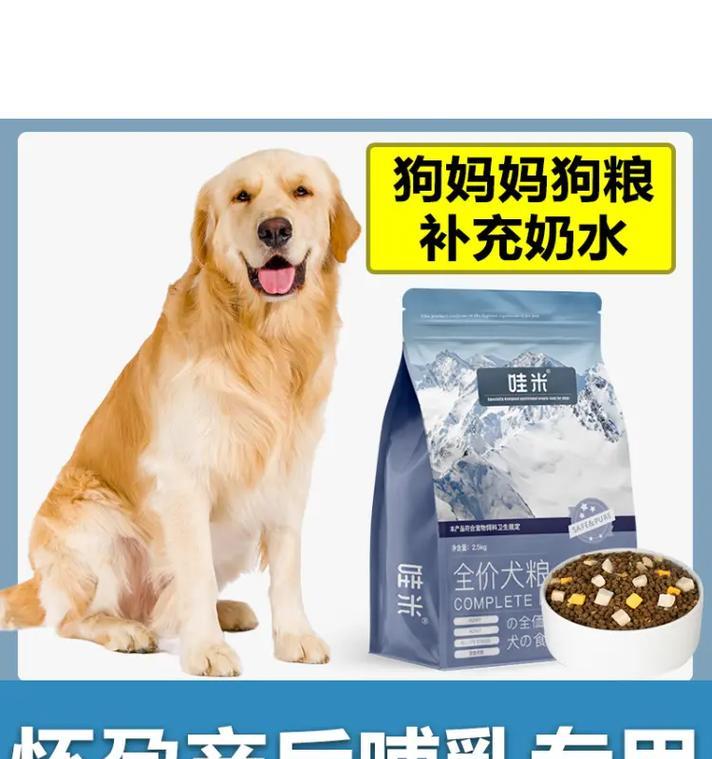 以泰迪喜欢吃狗粮拌什么区别？（以泰迪喜欢吃狗粮拌肉与拌蔬菜的区别）