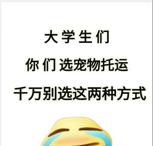 托运狗的注意事项（为您的宠物旅行保驾护航）