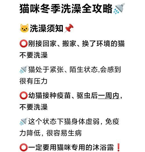 如何解决宠物猫咪不爱洗澡的问题（掌握正确方法，让猫咪爱上洗澡）