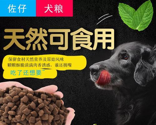 小泰迪4个月应该吃多少狗粮？（了解宠物狗的饮食需求，让小泰迪健康成长）