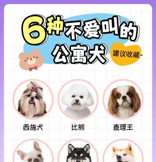 让宠物狗狗安静下来的秘诀（以适当的训练和生活习惯改变让狗狗更加平静）