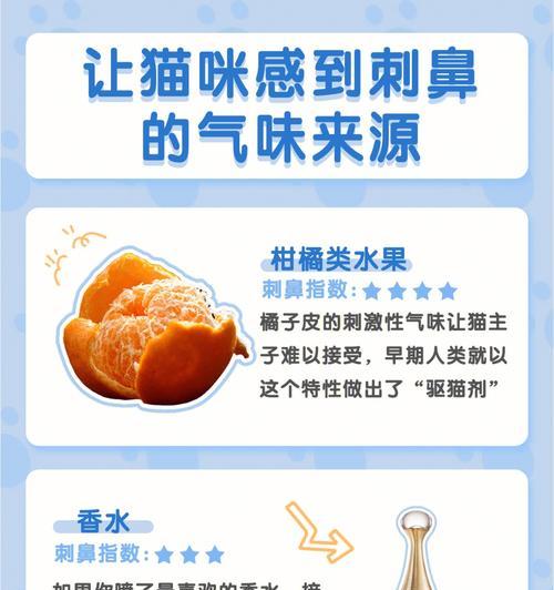 如何正确辨别猫咪的味道（从体味到口气，教你轻松分辨猫咪身上的气味）
