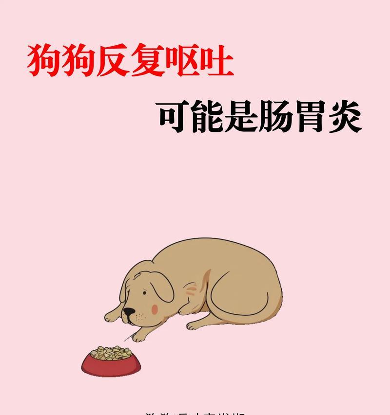 狗狗生理期呕吐的原因和处理方法（狗狗生理期为什么会呕吐？如何帮助狗狗缓解？）