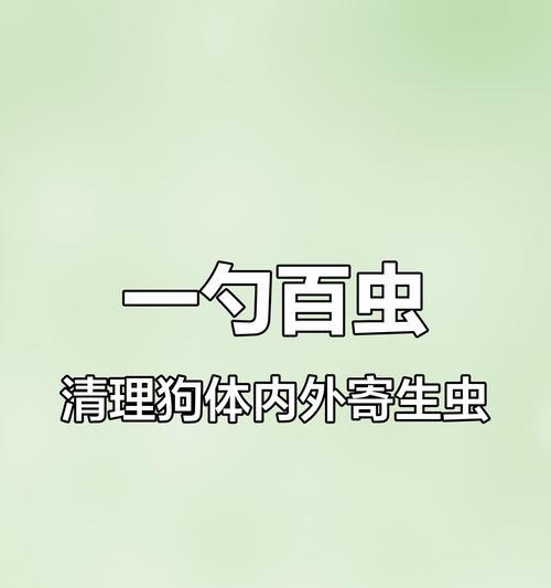 如何有效清除狗狗的寄生虫（宠物健康不容忽视，预防胜于治疗）