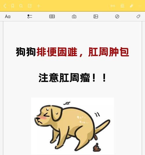 狗狗排便不舒服该如何处理（排便困难的狗狗需要怎样的治疗）