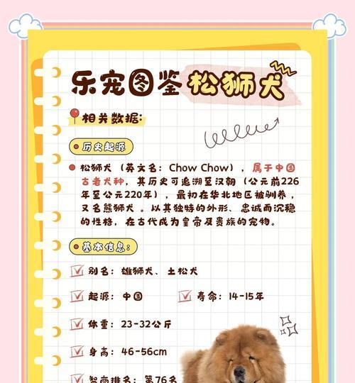 松狮儿的气质与性情（探寻松狮儿的宠物魅力）