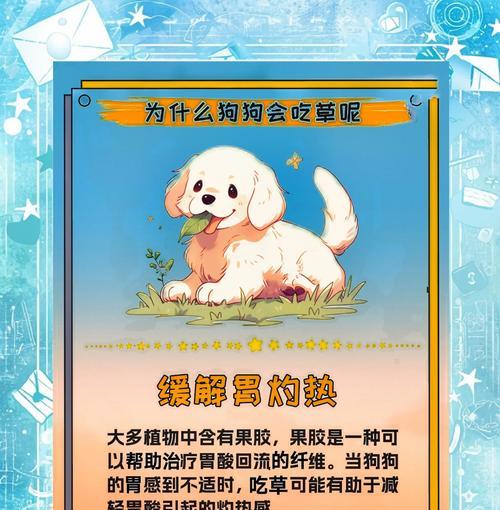为什么狗狗喜欢在草上打滚？（探究狗狗打滚的原因与好处，让你更加了解宠物狗）